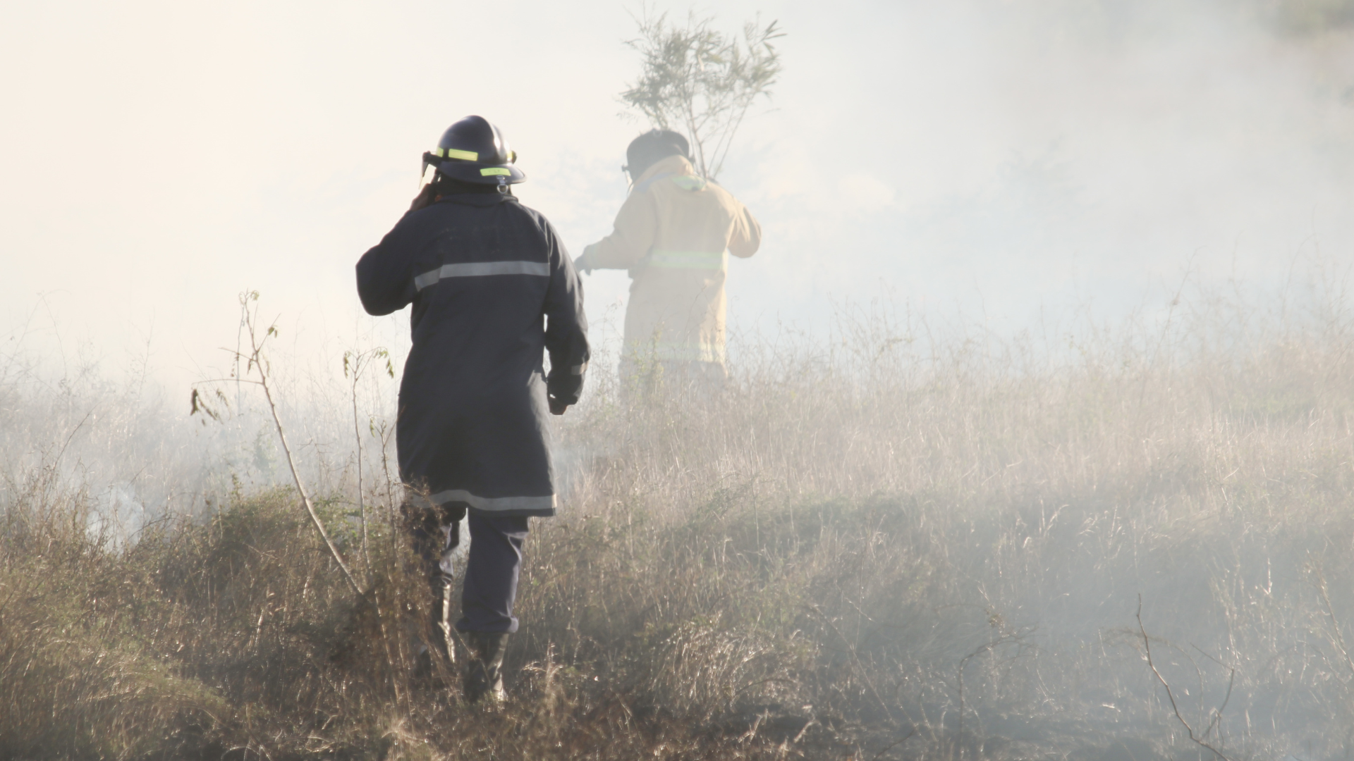 Multilingual Communications in Emergencies and Natural Disasters